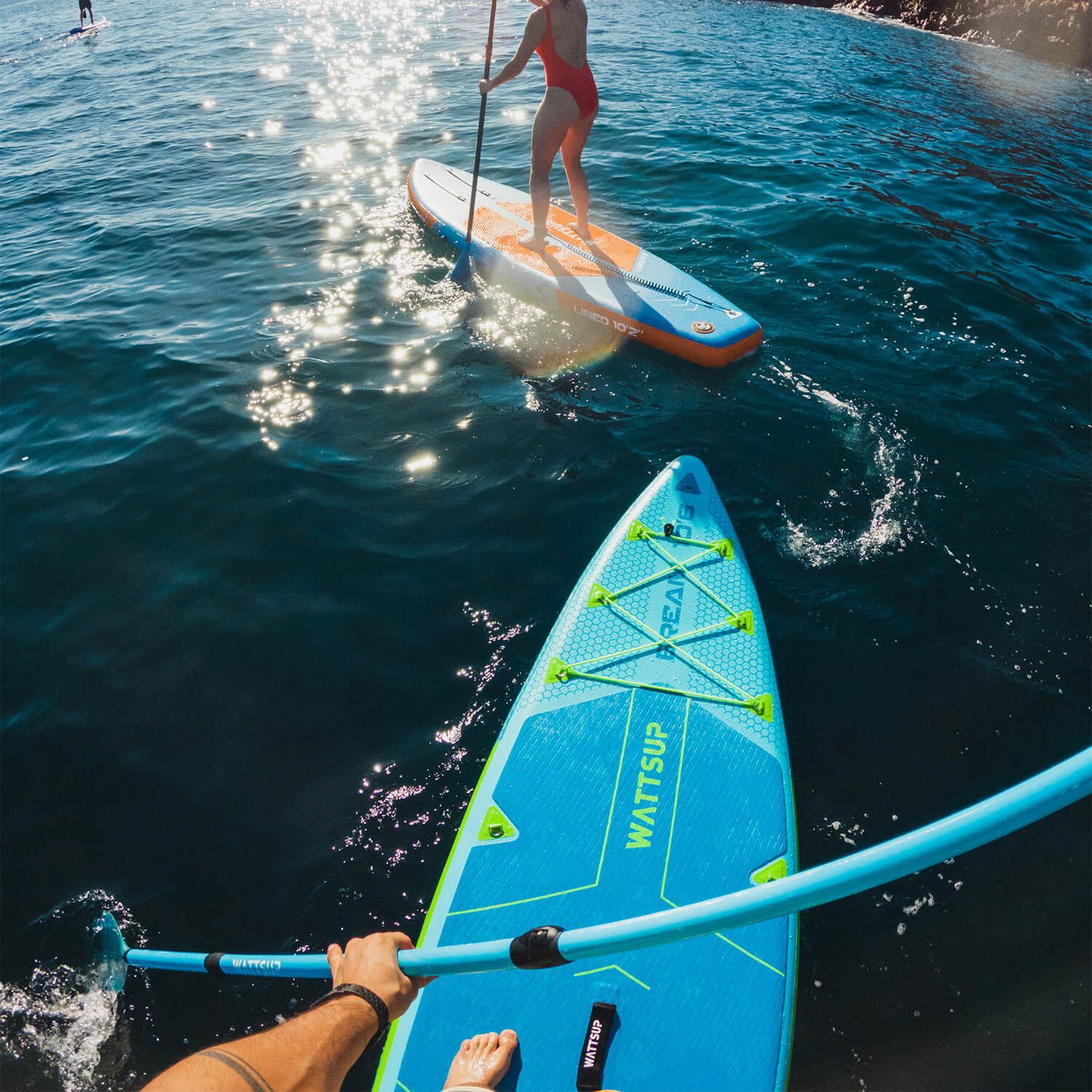 Le sup bream sur l'eau